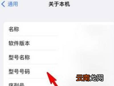 苹果13怎么看屏幕型号