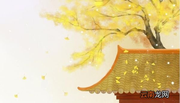 荷尽已无擎雨盖菊残犹有傲霜枝的诗意 荷尽已无擎雨盖菊残犹有傲霜枝是什么意思