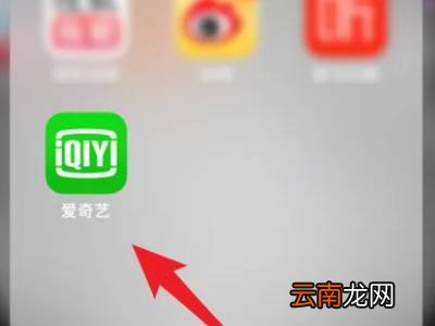 爱奇艺的会员怎么登录