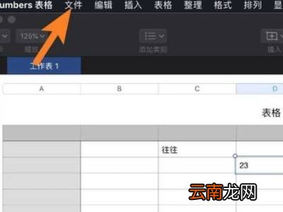 numbers表格怎么保存