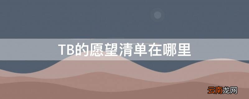 TB的愿望清单在哪里