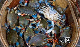 河蟹的保存方法有哪些 河蟹的保存方法有哪些呢