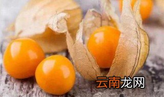 姑娘果的保存方式 如何存放姑娘果
