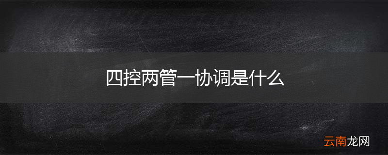 四控两管一协调是什么