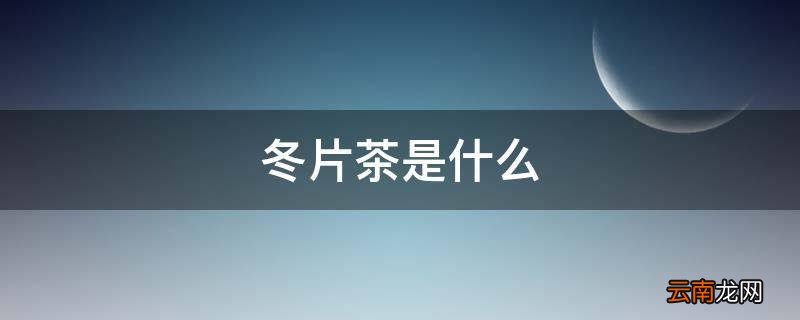 冬片茶是什么