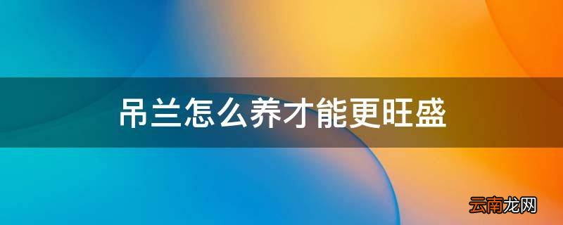 吊兰怎么养才能更旺盛