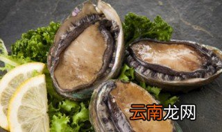 鲜鲍鱼的保存方法 鲜鲍鱼保存的方法
