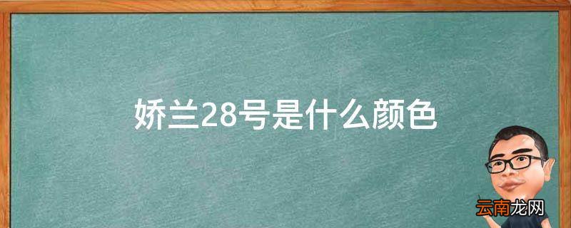 娇兰28号是什么颜色