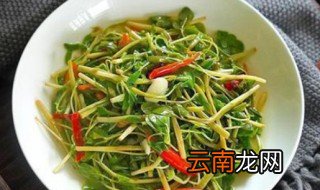豆苗的选购与保存 选择豆苗和保存方法