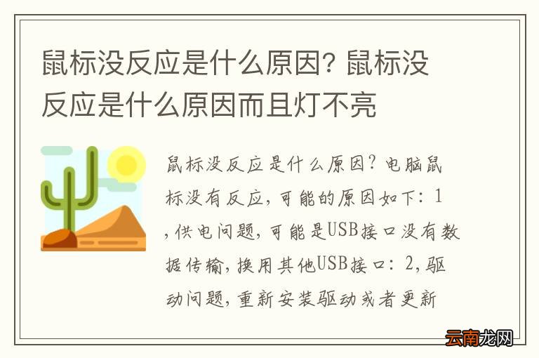 鼠标没反应是什么原因? 鼠标没反应是什么原因而且灯不亮
