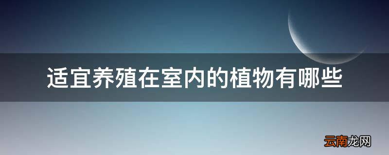 适宜养殖在室内的植物有哪些