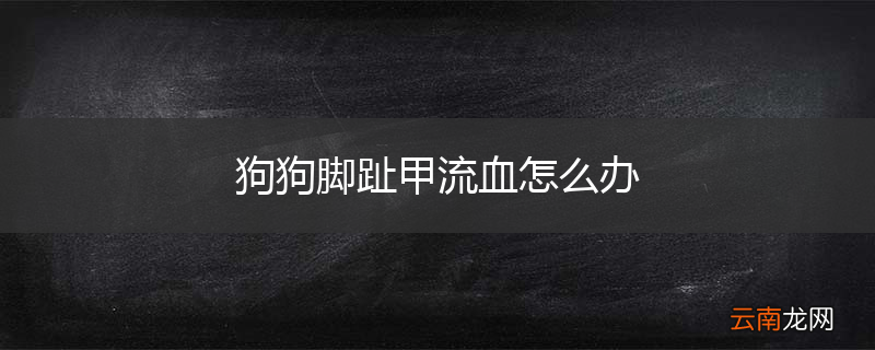 狗狗脚趾甲流血怎么办