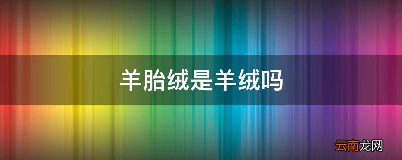 羊胎绒是羊绒吗