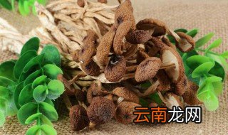 茶树菇有点发霉了还能吃吗 可以吃有点发霉的茶树菇
