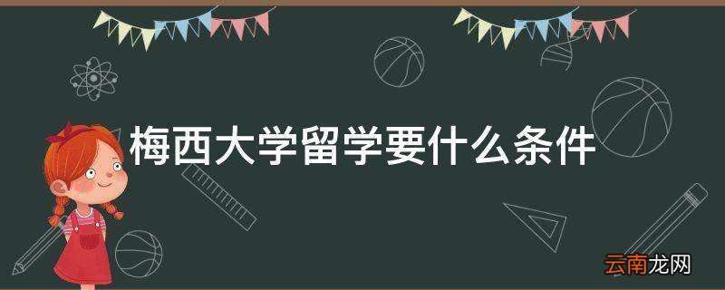 梅西大学留学要什么条件