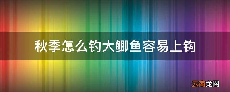 秋季怎么钓大鲫鱼容易上钩