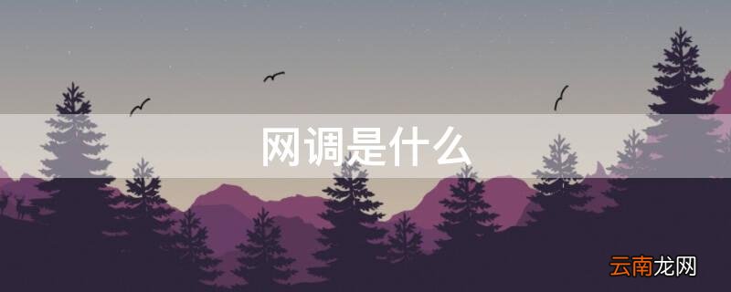 网调是什么 网调是什么怎么在宿舍玩