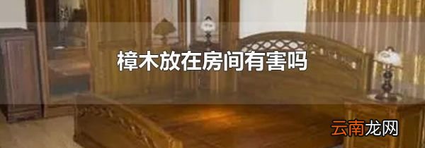 樟木放在房间有害吗