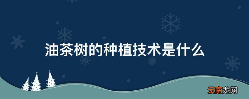 油茶树的种植技术是什么