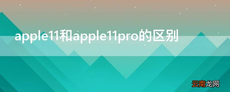 apple11和apple11pro的区别 苹果11pro和iphone11的区别