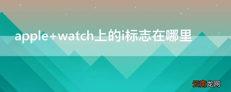 apple watch上的i标志在哪里