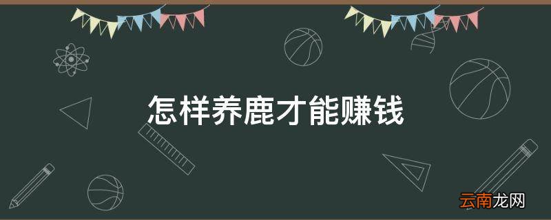 怎样养鹿才能赚钱