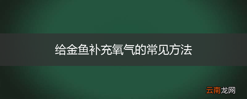 给金鱼补充氧气的常见方法