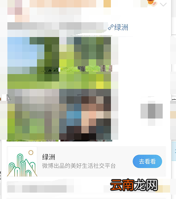 绿洲如何看别人的关注 绿洲怎么看别人的关注