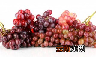 葡萄怎么放置保鲜 葡萄怎么放置保鲜时间长
