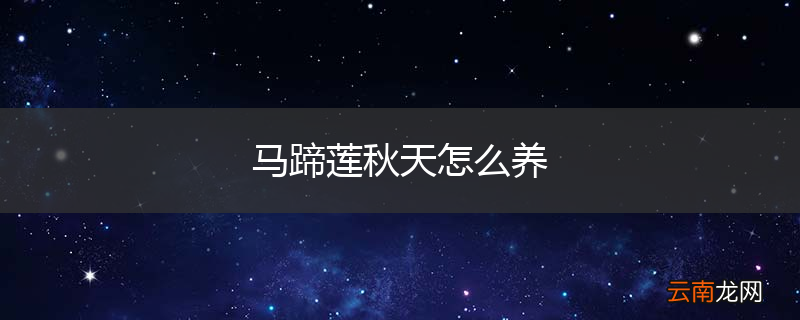 马蹄莲秋天怎么养