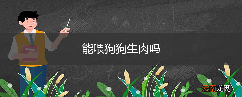能喂狗狗生肉吗