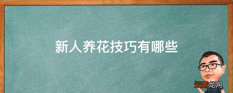 新人养花技巧有哪些