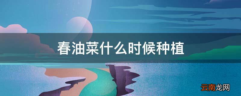 春油菜什么时候种植