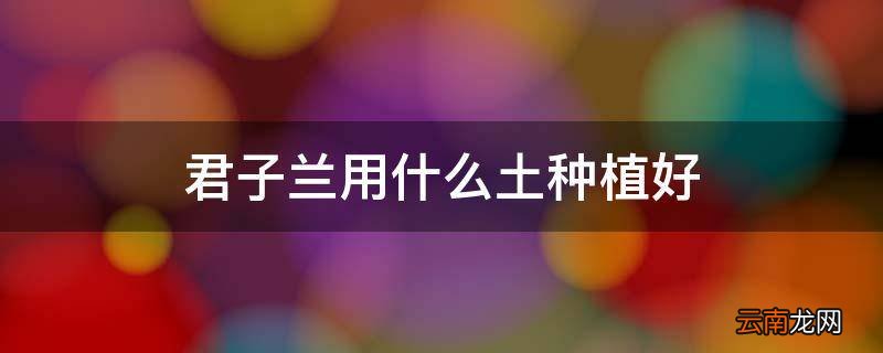 君子兰用什么土种植好