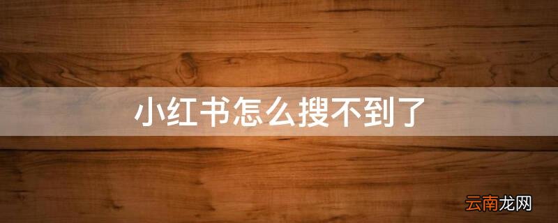 小红书怎么看不到 小红书怎么搜不到了