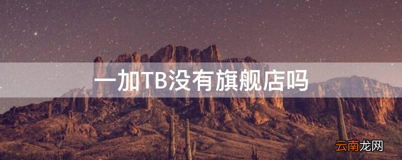 一加TB没有旗舰店吗 一加tb没有旗舰店吗多少钱