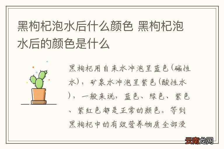 黑枸杞泡水后什么颜色 黑枸杞泡水后的颜色是什么
