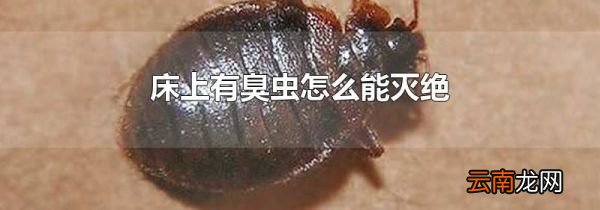 床上有臭虫怎么能灭绝