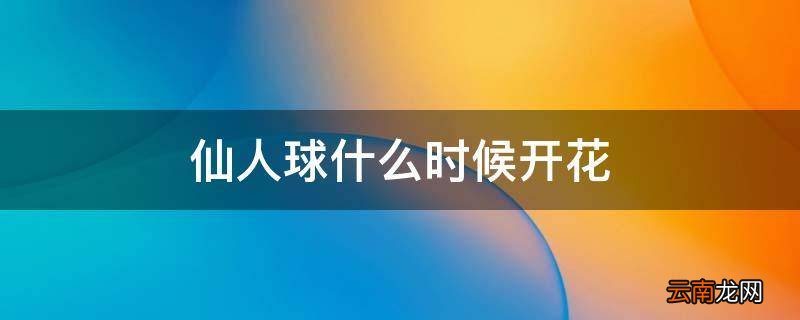 仙人球什么时候开花