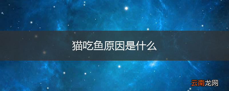 猫吃鱼原因是什么