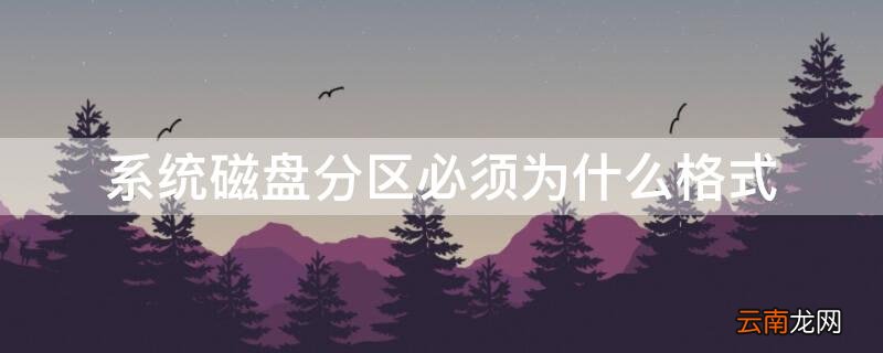 系统磁盘分区必须为什么格式