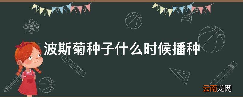 波斯菊种子什么时候播种