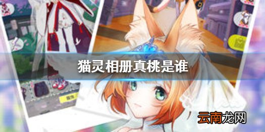 猫灵相册真桃是谁 猫灵相册真桃角色信息一览