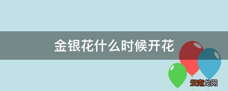 金银花什么时候开花