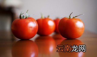 西红柿生吃还是熟吃好 西红柿如何吃最好