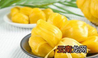 隔夜菠萝蜜还能吃吗 隔夜菠萝蜜还能不能吃