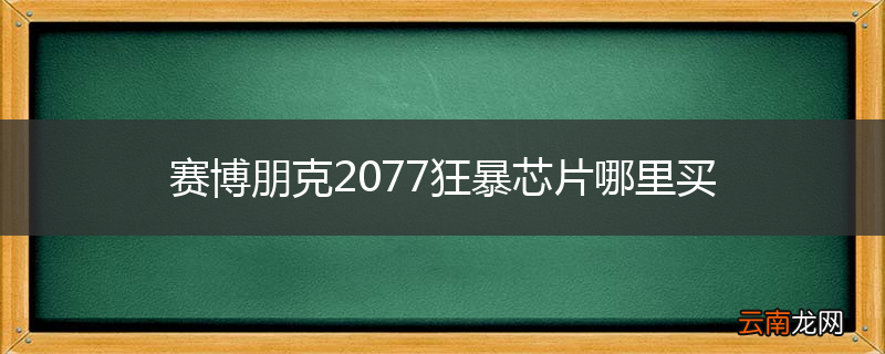 赛博朋克2077狂暴芯片哪里买