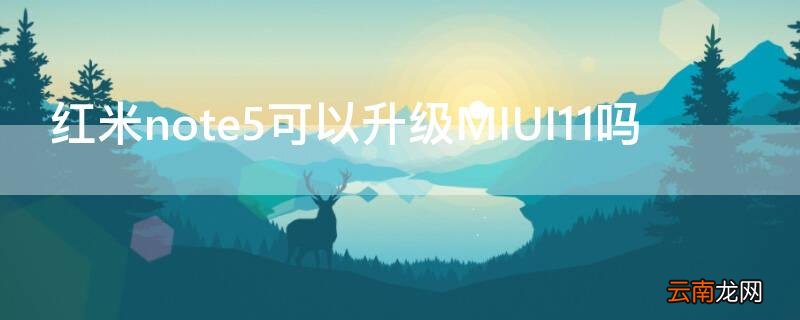 红米note5可以升级MIUI11吗 红米note5能升级miui12吗