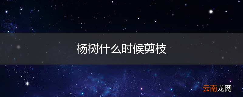 杨树什么时候剪枝