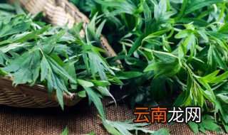 端午节家门口挂艾草是什么意思 端午节门口挂艾草是什么意思